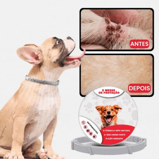 SafePet - Colar Anti Parasitas Premium [8 meses de proteção]