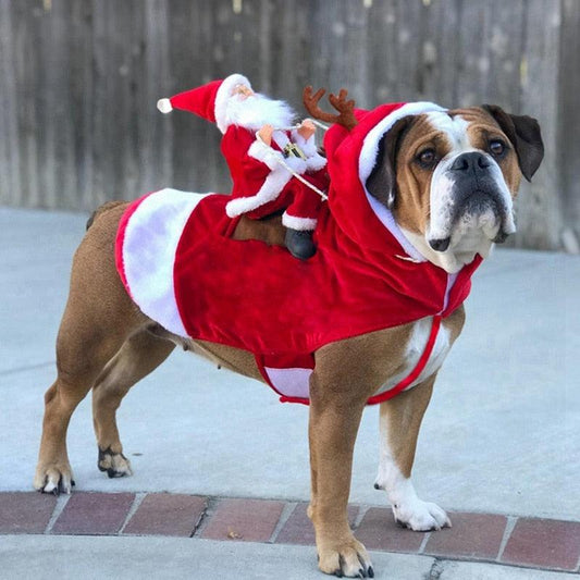 Roupa Fantasia Natalina Cosplay para Cães